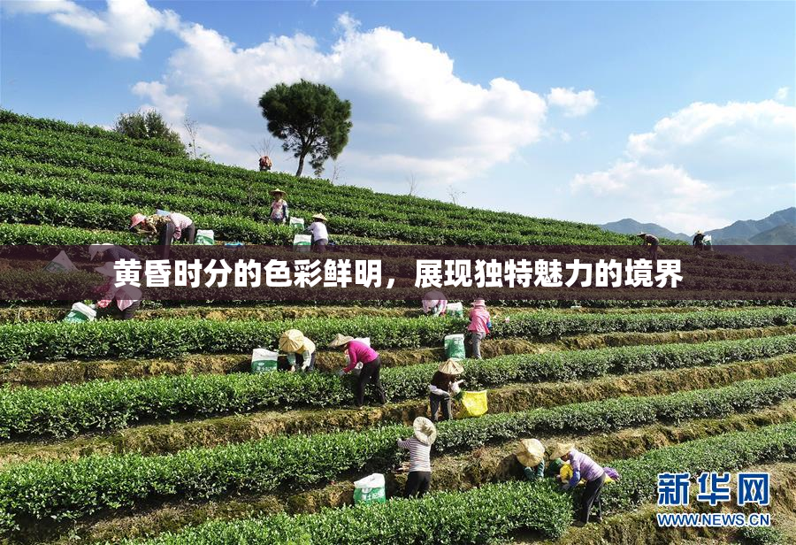 黄昏时分的色彩鲜明，展现独特魅力的境界