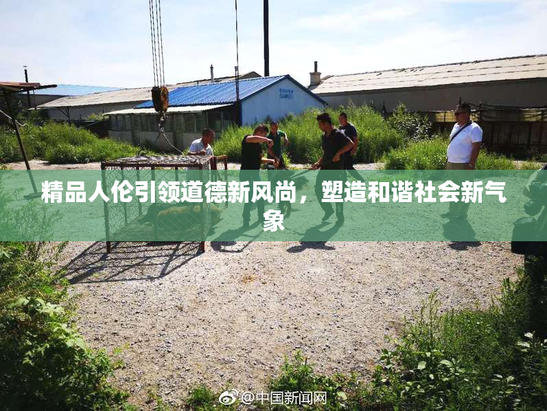 精品人伦引领道德新风尚，塑造和谐社会新气象