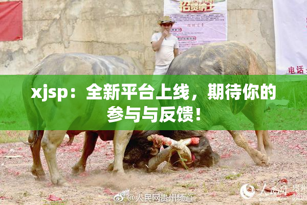 xjsp：全新平台上线，期待你的参与与反馈！