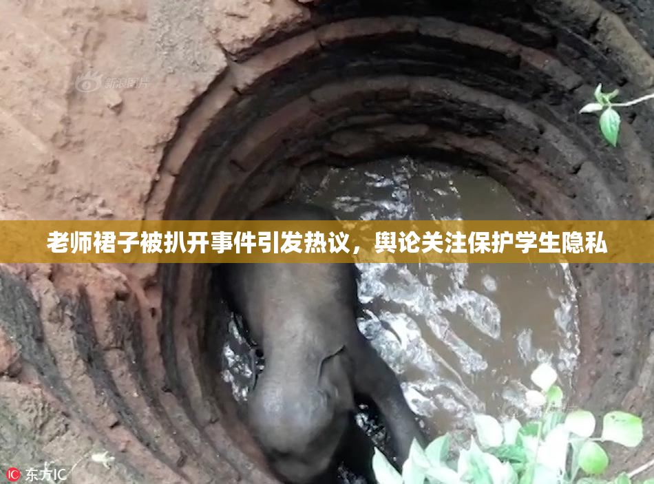 老师裙子被扒开事件引发热议，舆论关注保护学生隐私