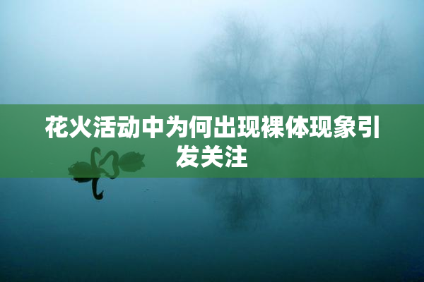 花火活动中为何出现裸体现象引发关注