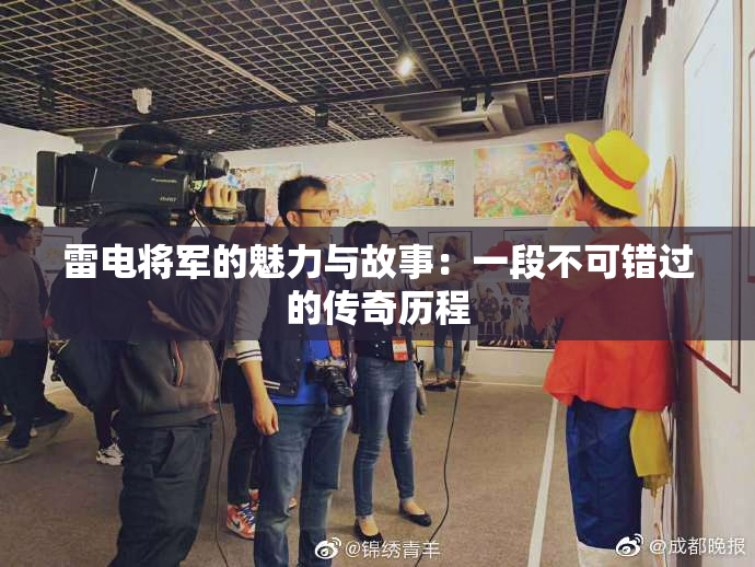 雷电将军的魅力与故事：一段不可错过的传奇历程