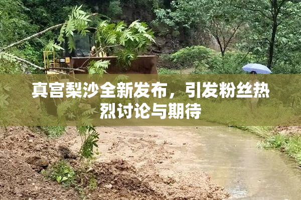 真宫梨沙全新发布，引发粉丝热烈讨论与期待