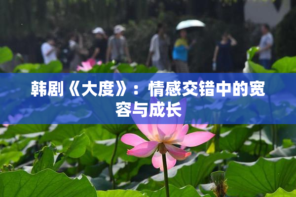 韩剧《大度》：情感交错中的宽容与成长