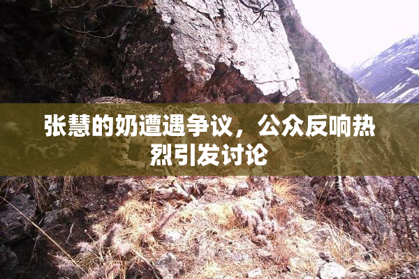 张慧的奶遭遇争议，公众反响热烈引发讨论