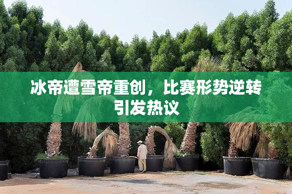 冰帝遭雪帝重创，比赛形势逆转引发热议