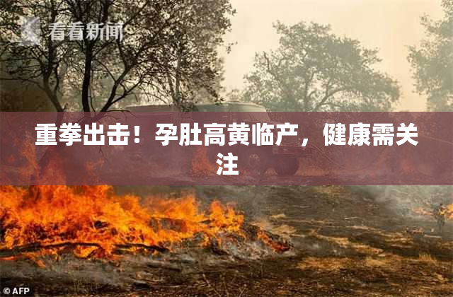 重拳出击！孕肚高黄临产，健康需关注