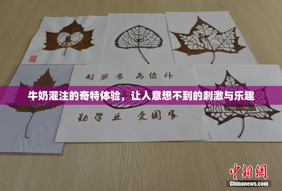 牛奶灌注的奇特体验，让人意想不到的刺激与乐趣