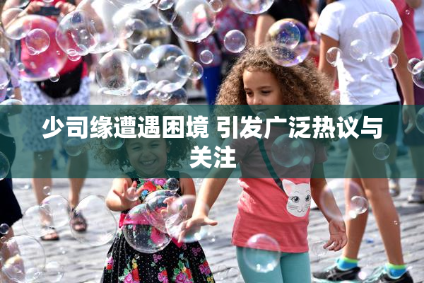 少司缘遭遇困境 引发广泛热议与关注