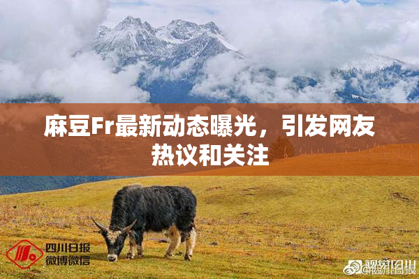 麻豆Fr最新动态曝光，引发网友热议和关注