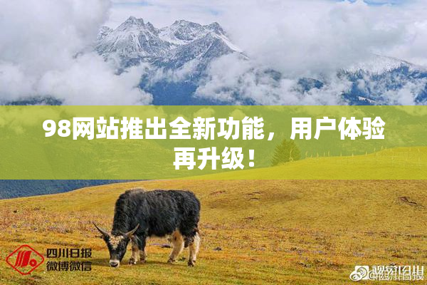 98网站推出全新功能，用户体验再升级！