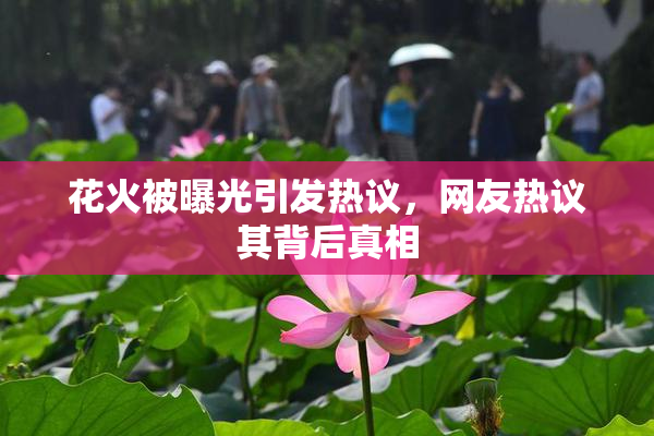 花火被曝光引发热议，网友热议其背后真相
