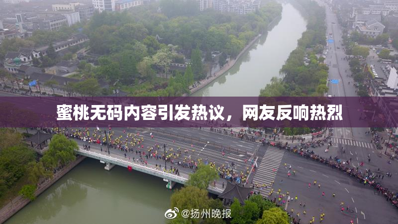 蜜桃无码内容引发热议，网友反响热烈