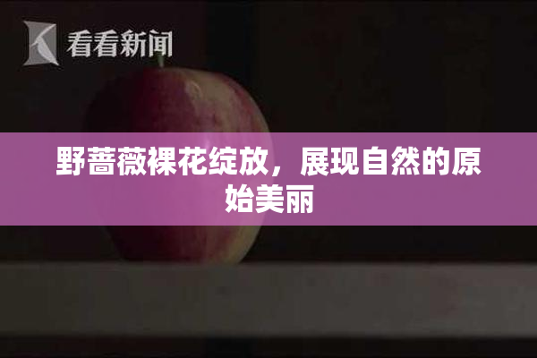 野蔷薇裸花绽放，展现自然的原始美丽