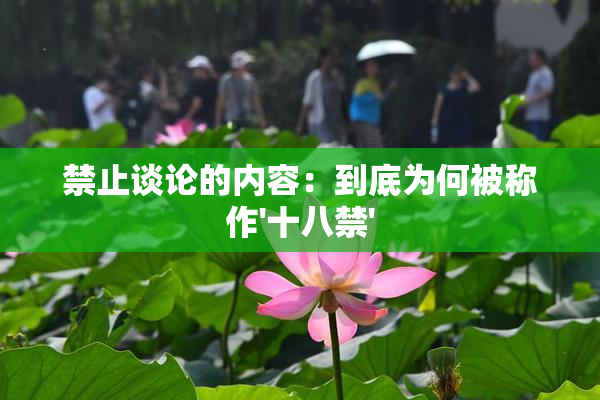 禁止谈论的内容：到底为何被称作'十八禁'