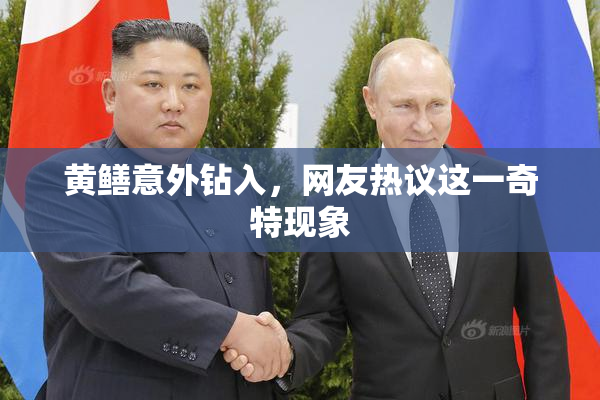 黄鳝意外钻入，网友热议这一奇特现象