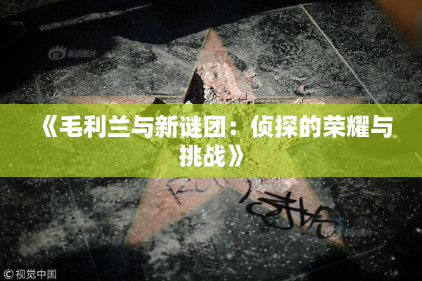 《毛利兰与新谜团：侦探的荣耀与挑战》
