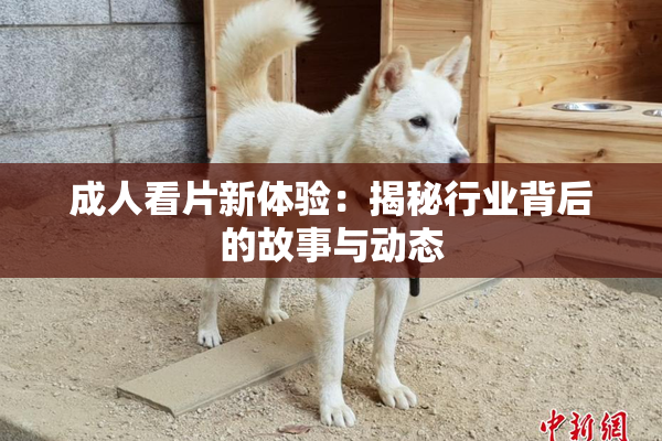 成人看片新体验：揭秘行业背后的故事与动态
