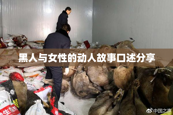 黑人与女性的动人故事口述分享
