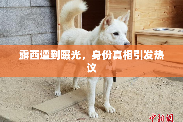 露西遭到曝光，身份真相引发热议
