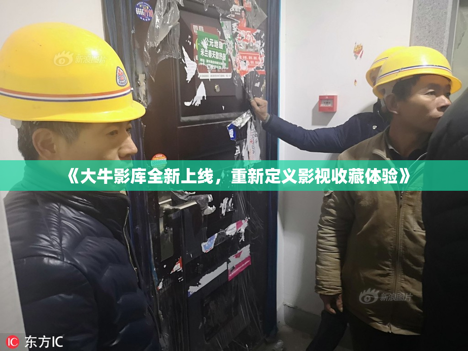 《大牛影库全新上线，重新定义影视收藏体验》