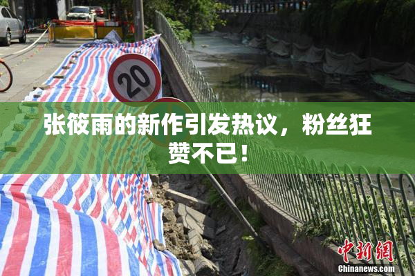 张筱雨的新作引发热议，粉丝狂赞不已！