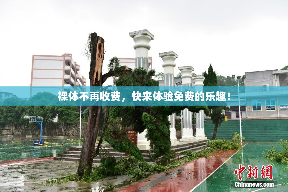 裸体不再收费，快来体验免费的乐趣！