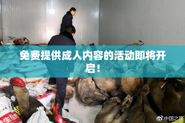 免费提供成人内容的活动即将开启！