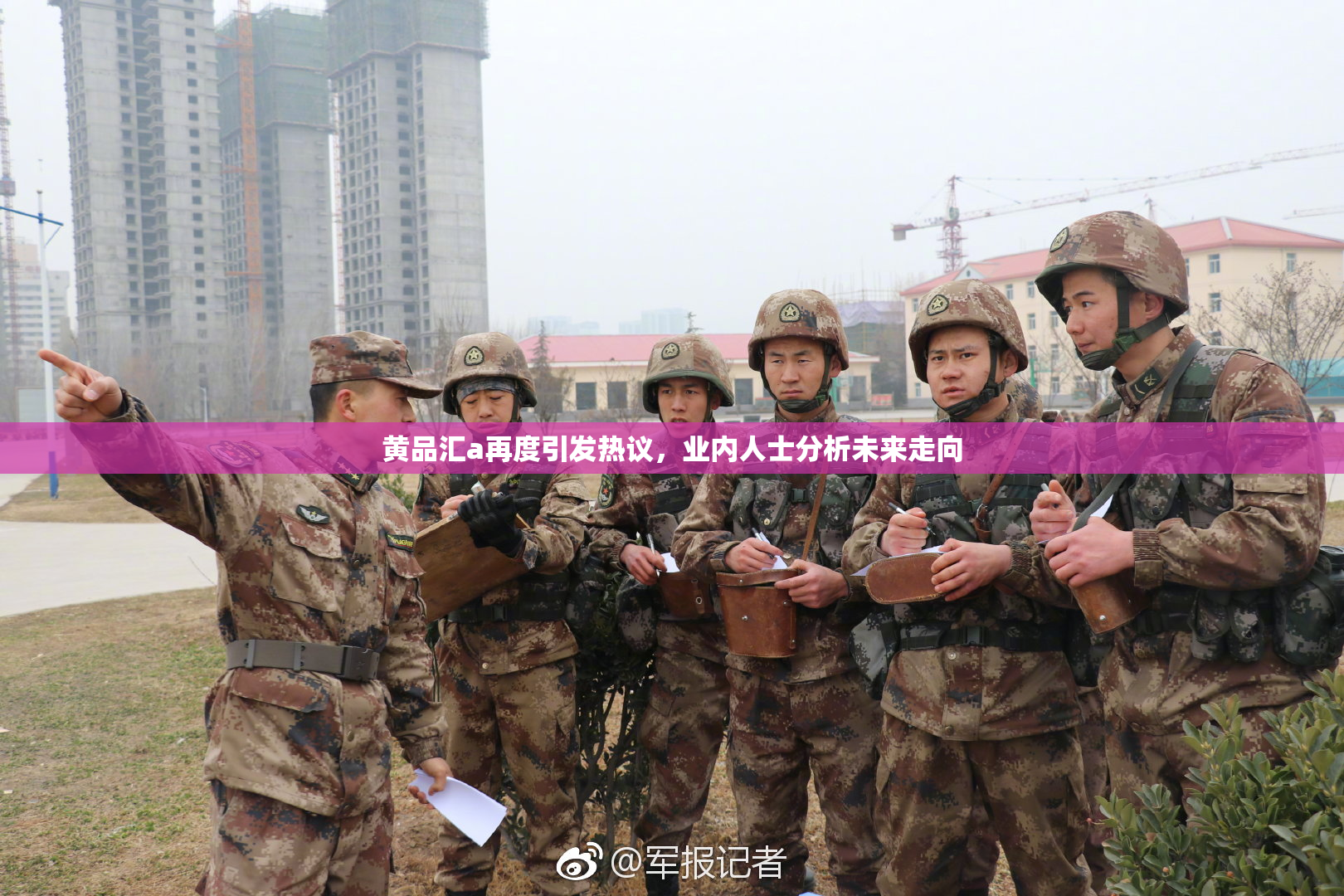 黄品汇a再度引发热议，业内人士分析未来走向