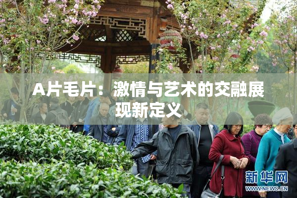 A片毛片：激情与艺术的交融展现新定义