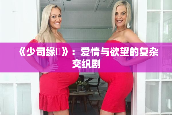 《少司缘婬》：爱情与欲望的复杂交织剧