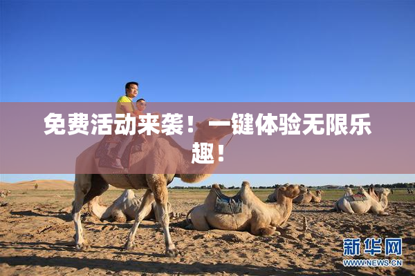 免费活动来袭！一键体验无限乐趣！