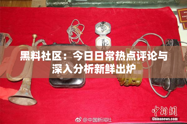 黑料社区：今日日常热点评论与深入分析新鲜出炉