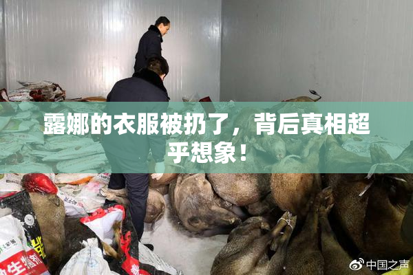 露娜的衣服被扔了，背后真相超乎想象！