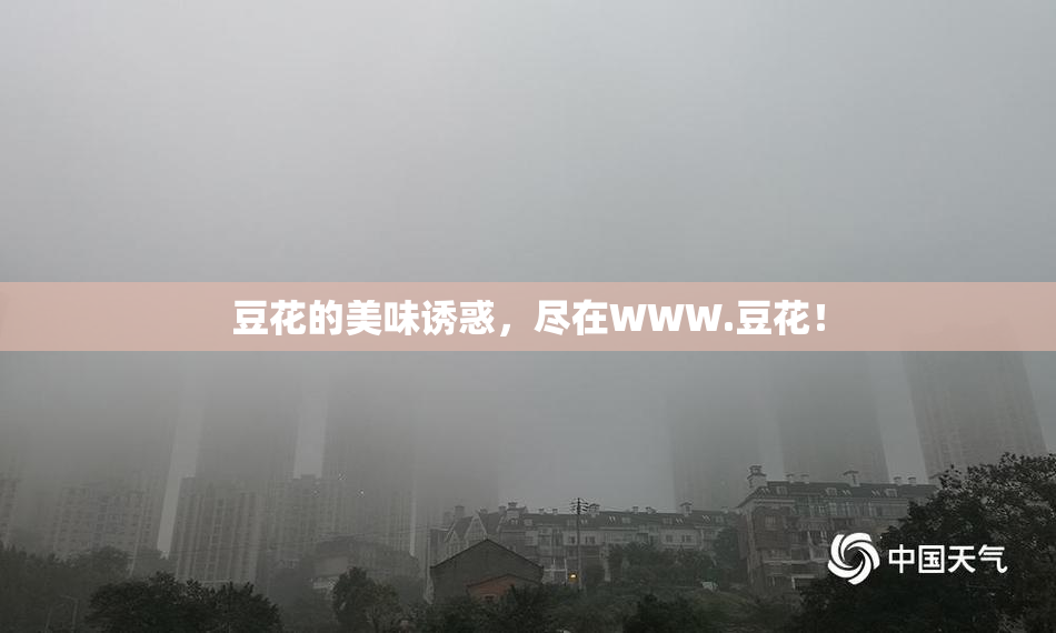 豆花的美味诱惑，尽在WWW.豆花！