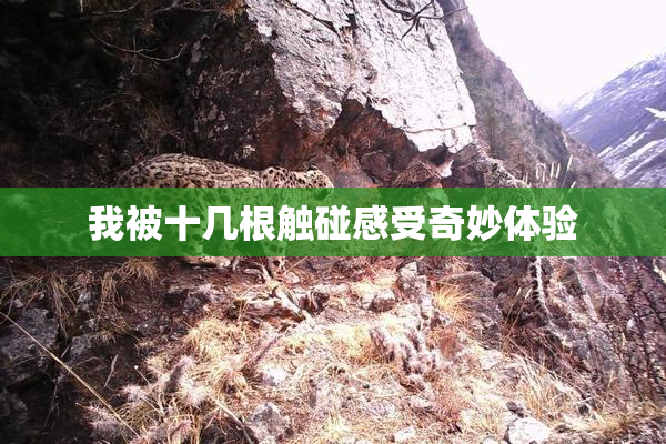 我被十几根触碰感受奇妙体验