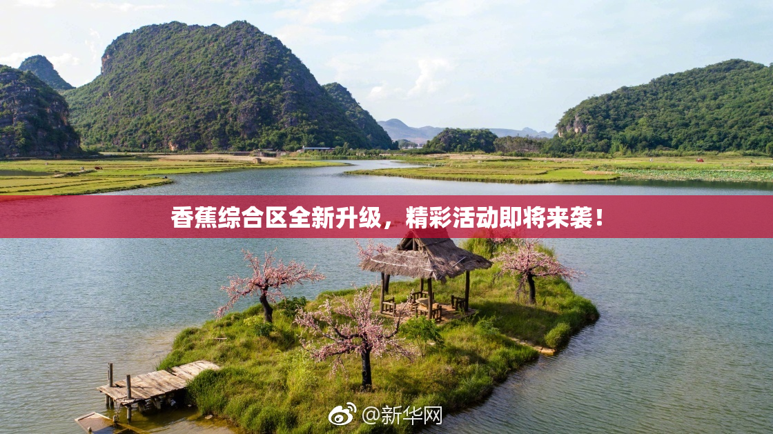 香蕉综合区全新升级，精彩活动即将来袭！