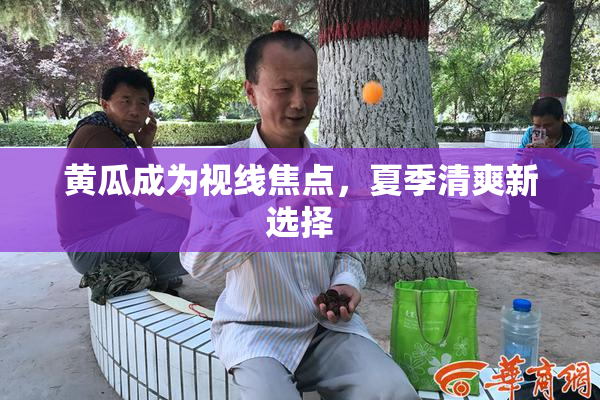 黄瓜成为视线焦点，夏季清爽新选择