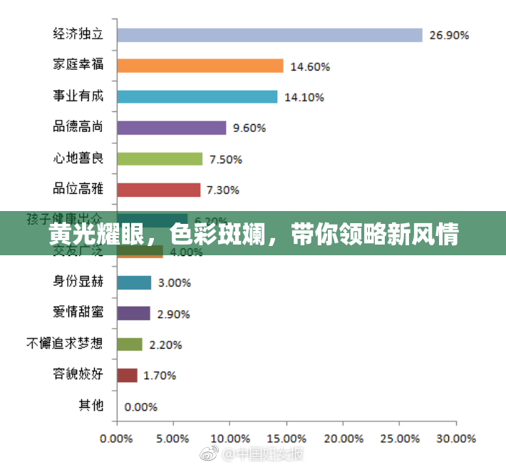 黄光耀眼，色彩斑斓，带你领略新风情