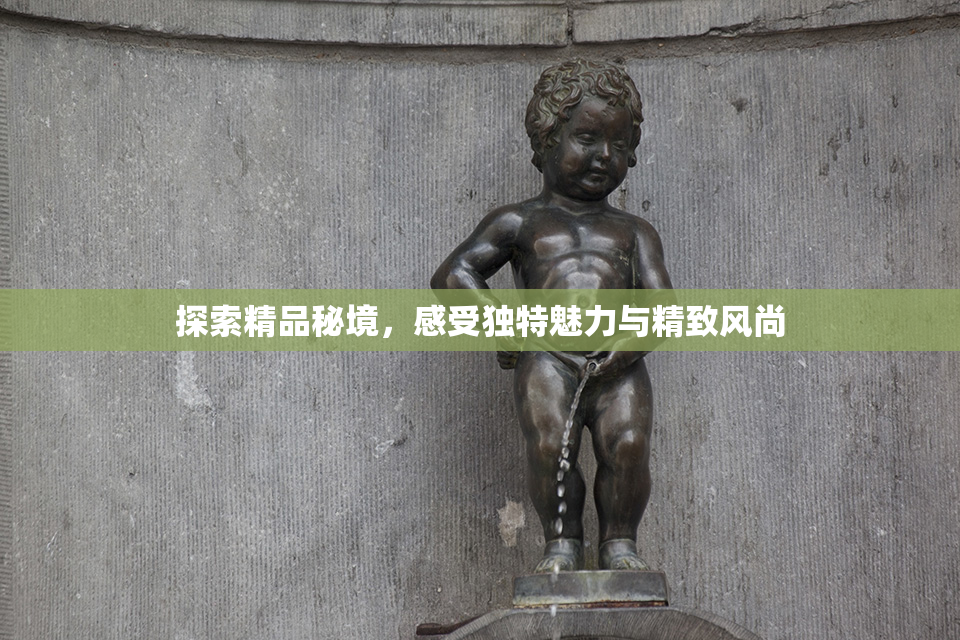 探索精品秘境，感受独特魅力与精致风尚