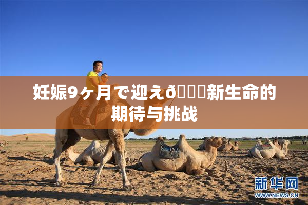 妊娠9ヶ月で迎え🌃新生命的期待与挑战