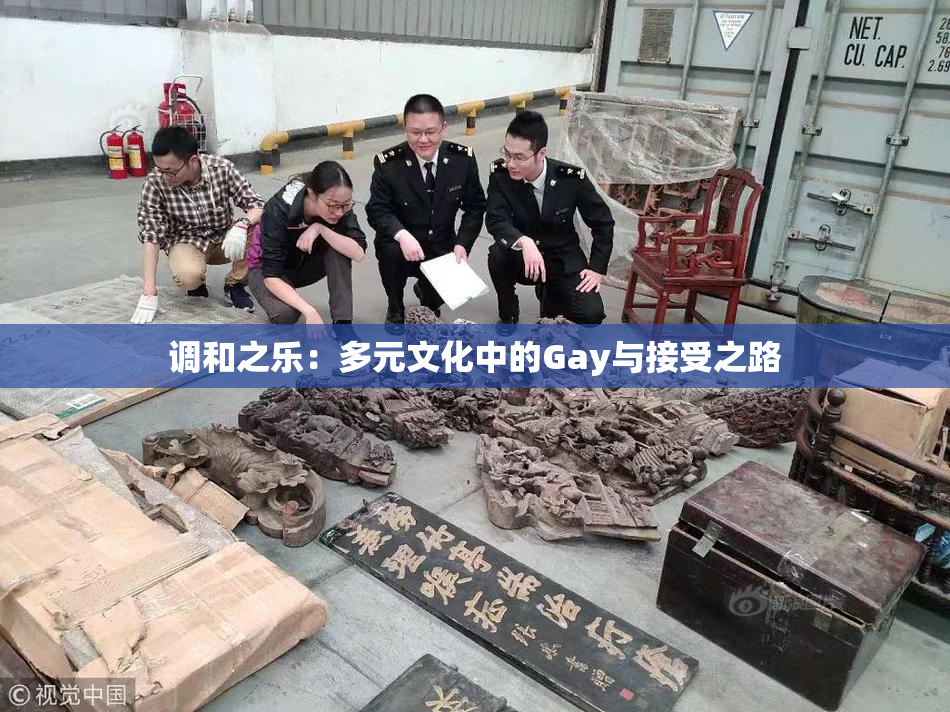 调和之乐：多元文化中的Gay与接受之路