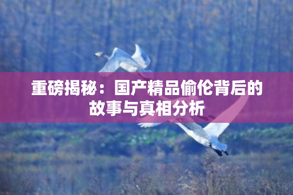 重磅揭秘：国产精品偷伦背后的故事与真相分析