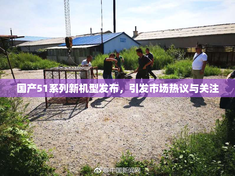 国产51系列新机型发布，引发市场热议与关注