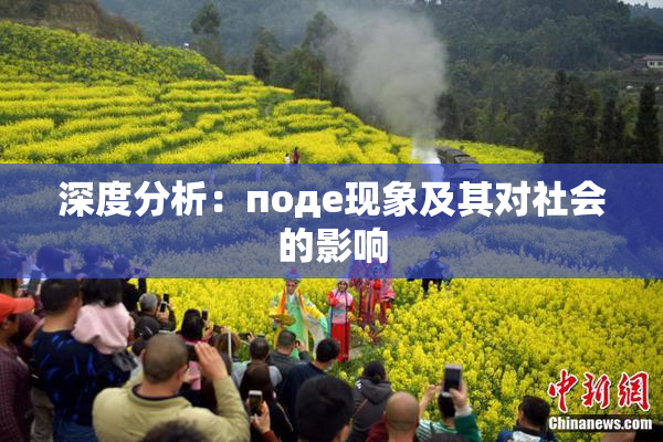 深度分析：поде现象及其对社会的影响