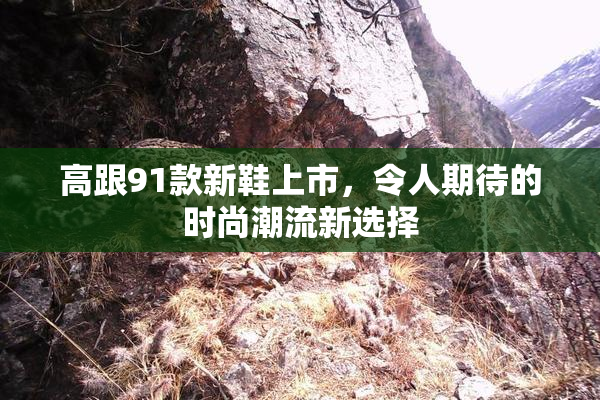 高跟91款新鞋上市，令人期待的时尚潮流新选择