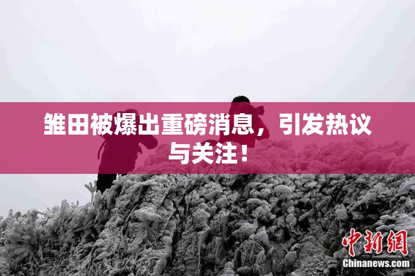 雏田被爆出重磅消息，引发热议与关注！