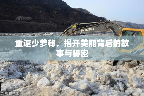重返少萝秘，揭开美丽背后的故事与秘密