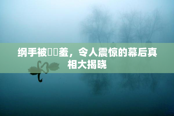纲手被❌‌羞，令人震惊的幕后真相大揭晓