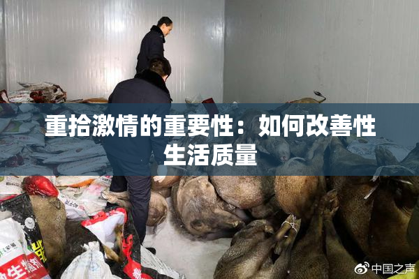 重拾激情的重要性：如何改善性生活质量